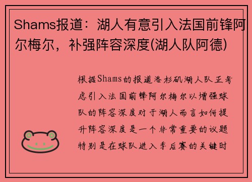 Shams报道：湖人有意引入法国前锋阿尔梅尔，补强阵容深度(湖人队阿德)