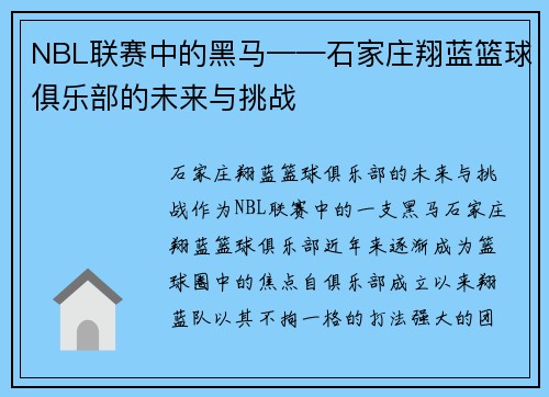 NBL联赛中的黑马——石家庄翔蓝篮球俱乐部的未来与挑战